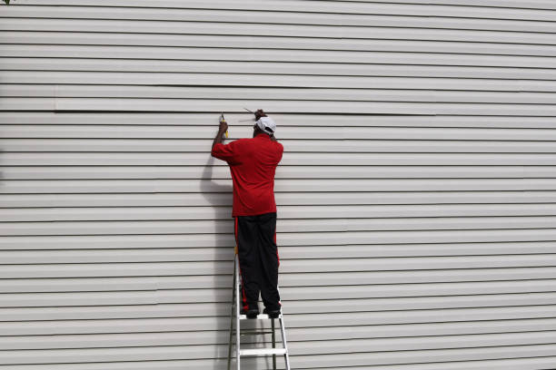Best Residential Vinyl Siding Installation  in Goleta, CA