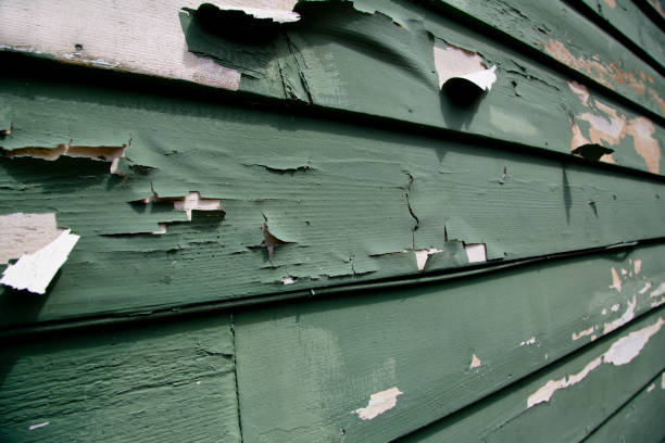 Best Residential Vinyl Siding Installation  in Goleta, CA