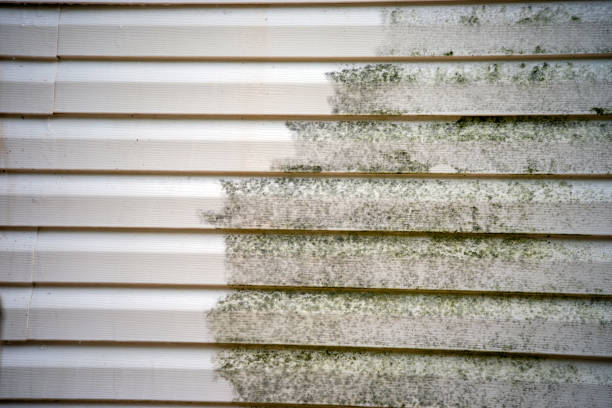 Best James Hardie Siding  in Goleta, CA