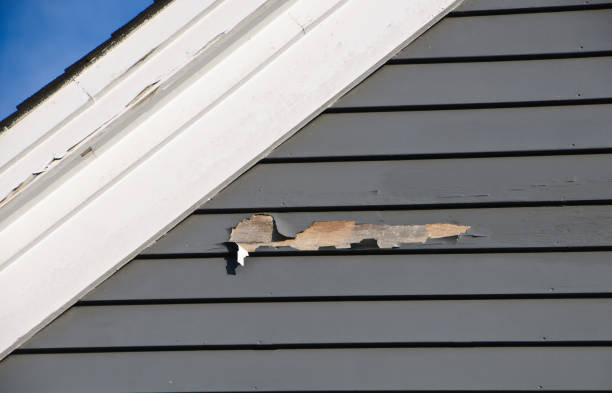 Best Stucco Siding  in Goleta, CA